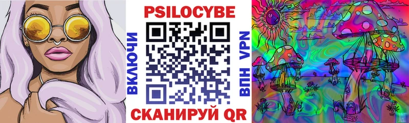 Галлюциногенные грибы Psilocybine cubensis  Спас-Клепики 